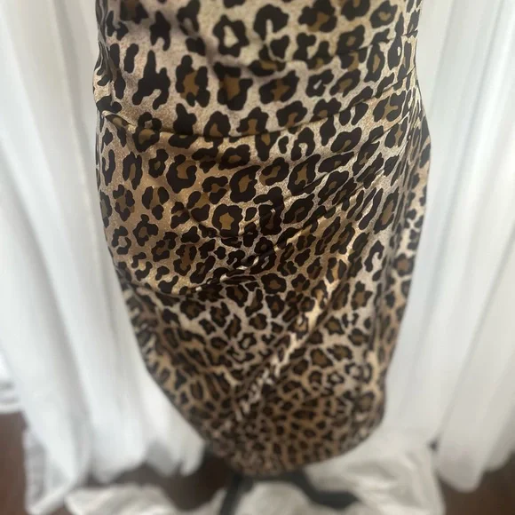 Leopard Print Dress - Picture 3 of 5